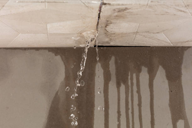 Professional Structural Drying technician working in Mineral Springs, AR